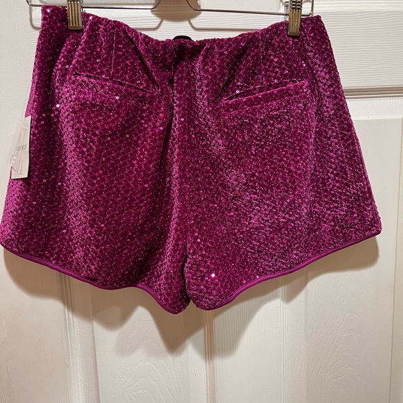 F21 Sequin Fuchsia Shorts Large
Sequin Velour Barbie Fuscia shorts - Picture 2 of 9